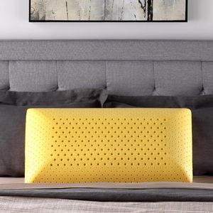 NEW Zoned Active Dough + Chamomile Pillow